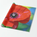 Search for photographer wrapping paper Green
