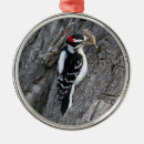 Search for woodpecker ornaments Wildlife