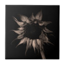 Search for botany tiles Modern