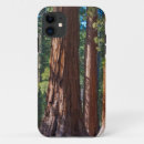 Search for redwoods iphone cases Forest