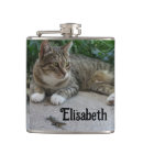 Recherche de fureur bar Animal