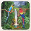 Search for macaw coasters Tropical