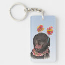 Search for black labrador keychains Puppy