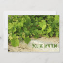 Recherche de raisins verts invitations Vignoble