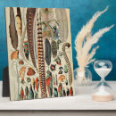 Recherche de plumes plaques Oiseau