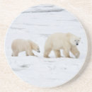 Search for carnivore barware Bear