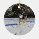 Search for siberian husky ornaments Photography