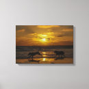 Search for guy canvas prints Beach