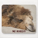Search for boring electronics Humour