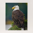 Recherche de aigle puzzles Bois