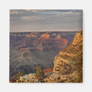 Search for rims magnets Landscape