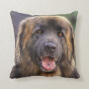 Search for fluffy dog pillows Puppies
