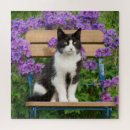 Recherche de tuxedo cat puzzles Cute