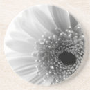 Recherche de gerbera dessous de verres Fleur