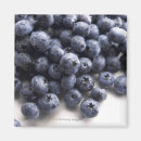 Search for dietician magnets Photography