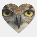 Recherche de yeux hibou autocollants Chouette