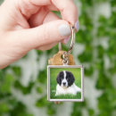 Search for newfoundland keychains Landseer
