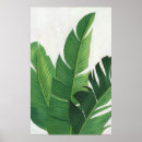Recherche de vida posters Botanique