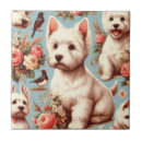 Recherche de westie carreaux West highland white terrier