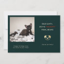 Search for funny pet photo christmas cards Humour