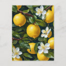 Search for fruit painting postcards Citrus
