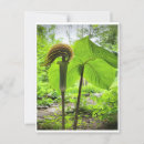 Search for native plants postcards Nature