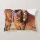 Search for danita delimont pillows Europe