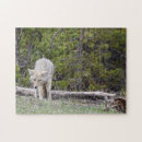 Recherche de loups puzzles Wyoming