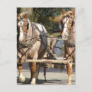 Search for iowa shape postcards Rural