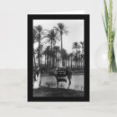 Recherche de 1902 Photographie
