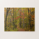 Search for somerset puzzles Landscape