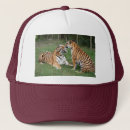 Search for bengals hats Wild