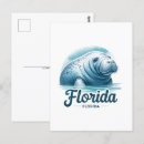 Search for florida manatee postcards Postcrossing