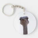 Search for ostrich keychains Birds