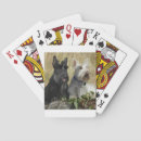 Recherche de scottie jeux de cartes Poker