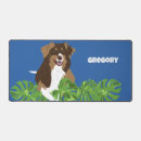 Search for australian shepherd electronics Aussies