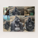 Recherche de gorilla puzzles Singe