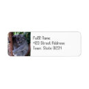 Search for aussie return address labels Koala