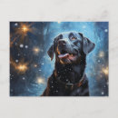 Search for black labrador retriever postcards Funny