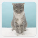 Search for cat and mouse stickers Humour