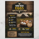 Recherche de oeuf prospectus Ferme
