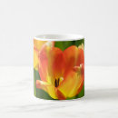 Search for transparent background mugs Red