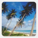 Search for santo stickers Caribbean