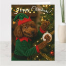 Search for poodle cards Funny