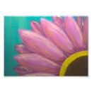 Recherche de gerber rose posters Marguerie