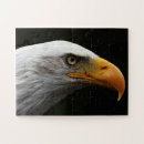 Recherche de aigle noir puzzles Jaune