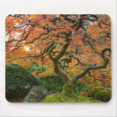 Search for japanese maple mousepads Garden