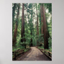 Search for inger hogstrom posters Green