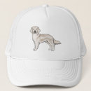 Search for golden retriever hats Dog