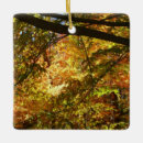 Recherche de feuille d ornements Orange